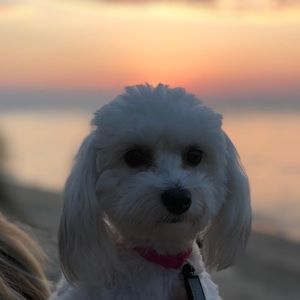 Meet your Posher, Lana